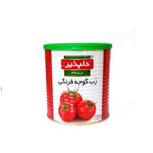 رب گوجه فرنگی قوطی دلپذیر (800گرم)