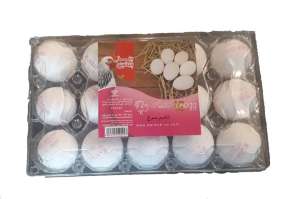 تخم مرغ پرند پروتئین بسته (15عددی)