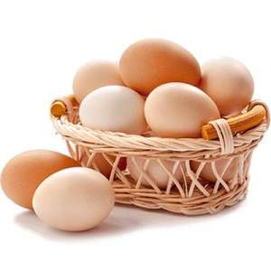 تخم مرغ محلی کاسپین (9عددی)