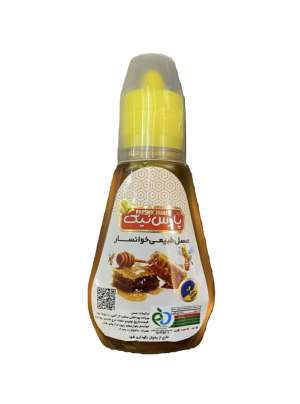 عسل طبیعی خوانسار پمپی پارس نیک (220گرم)